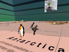 PINGU!!!!