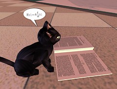 Schrodinger's cat?