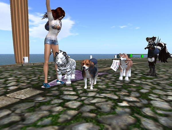 Run with the pack