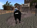 Bullrider