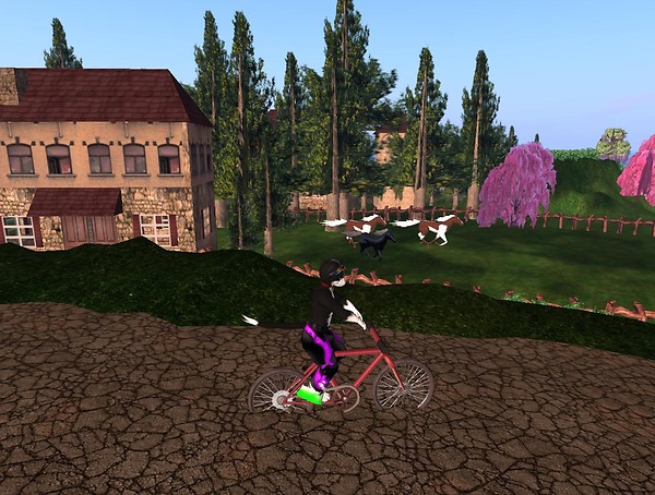 Tour de France