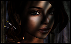 Shadows
