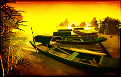 Shadows of the last sun
