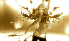 Flash 12.10.08.
