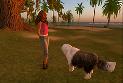 with Axi 08.03.09.