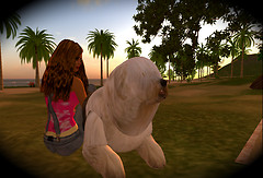 with Axi 08.03.09.
