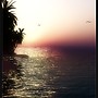 Cove