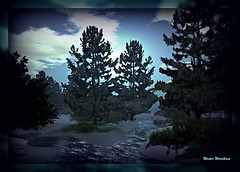 BLue Morning