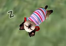 Lazy Day 02