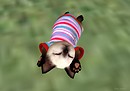 Lazy Day 01