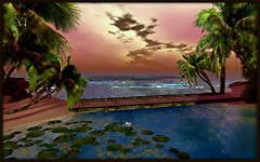 Reef and Lagoon