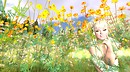 Field of flowers