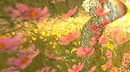 Field of flowers