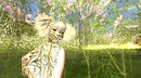 Field of flowers