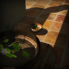 Still Life Garden 02