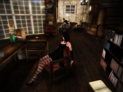 Snapshot_024
