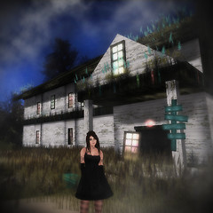 Snapshot_010