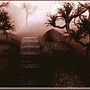 the path