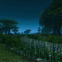 The Wetlands