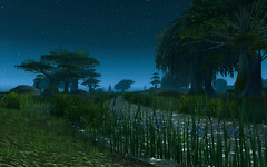 The Wetlands