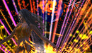 Peacefest Four Bridges Follow the Light