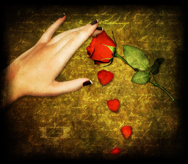 [ A symbol of all happiness, slowly disappearing....... ]