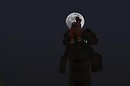 moonseat - hynesyte Harbour