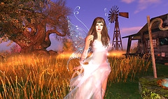 fairy