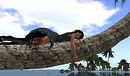 Las Islas  Las Rocas_030