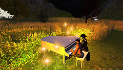 music night