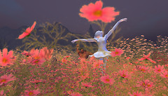 hidden dancing