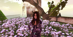 drowsy08