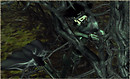 Port Dervon_003
