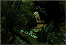 Port Dervon_002