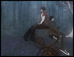 WonderCycle