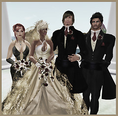cat n bazza wedding13