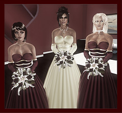 cat n bazza wedding8