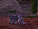 Druid Cat Form 2