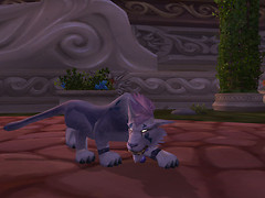 Druid Cat Form 2