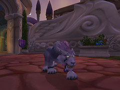 Druid Cat Form 1