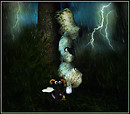 The Storm