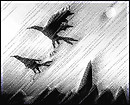 flying into the wind