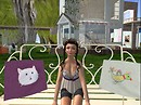 cute cussion - teto Sosa