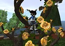 Crux in a Pretty Tree - Draygone Llewellyn