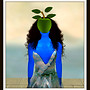 Magritte in SL