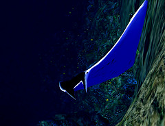 manta