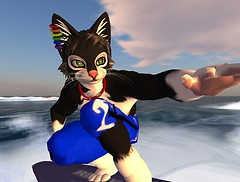Cat Surf - Socks Clawtooth