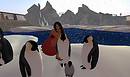 Chilling out with the penguins