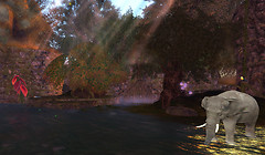 Brackish_Everglades_1