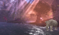 Brackish_Everglades_2